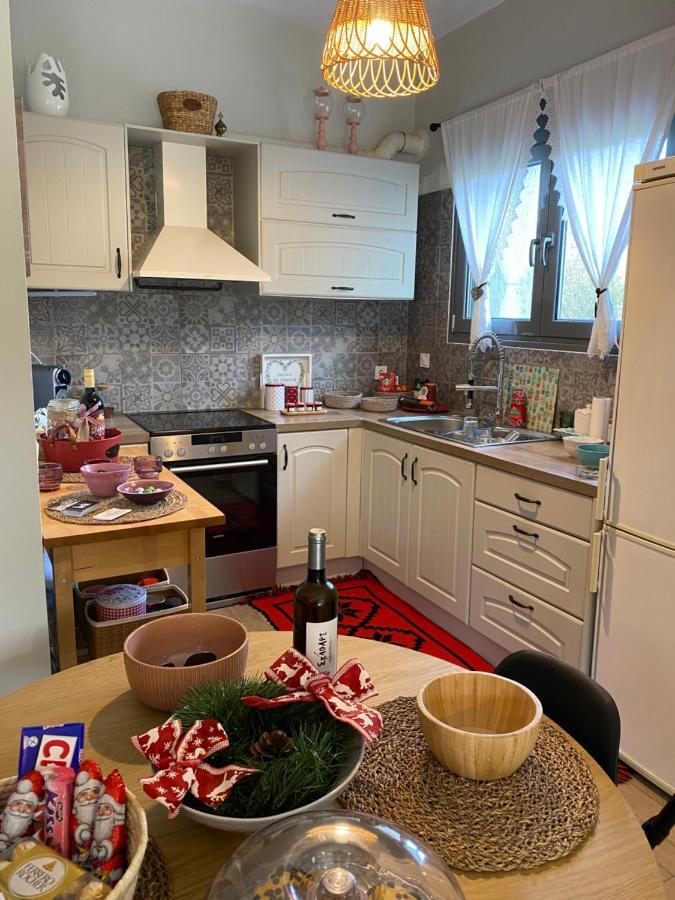 Stellas Guesthouse Near Arachova Stírion Εξωτερικό φωτογραφία