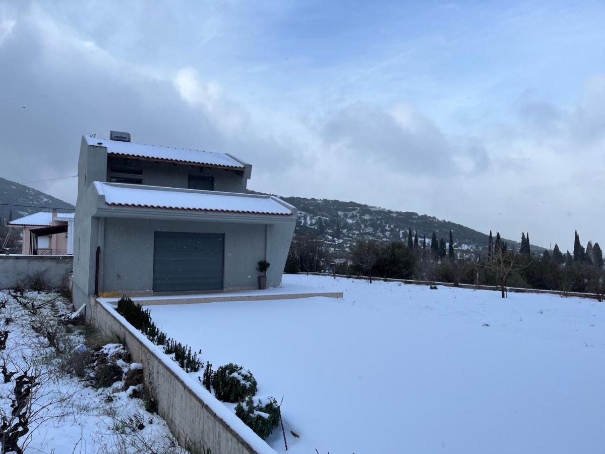 Stellas Guesthouse Near Arachova Stírion Εξωτερικό φωτογραφία