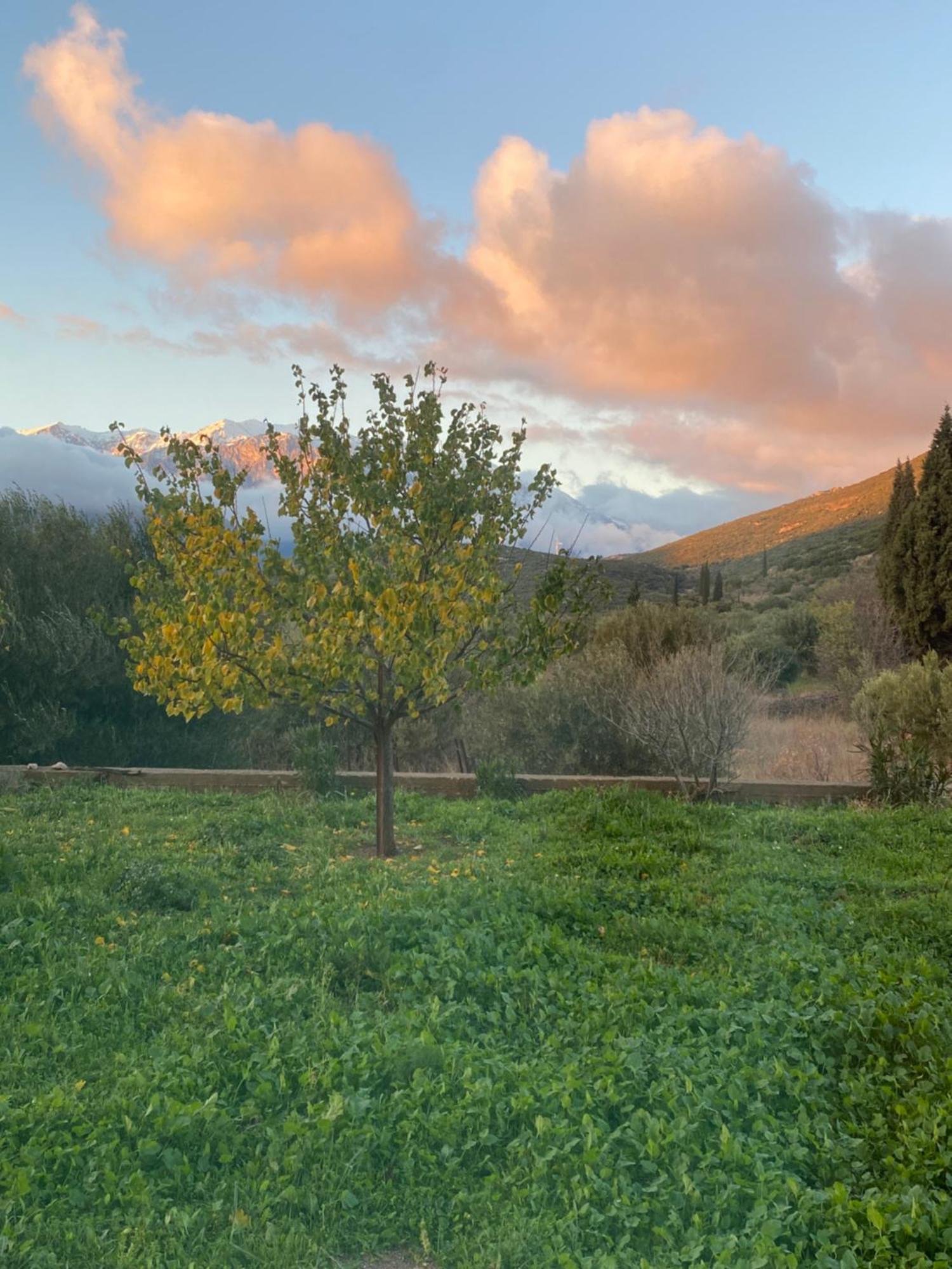 Stellas Guesthouse Near Arachova Stírion Εξωτερικό φωτογραφία